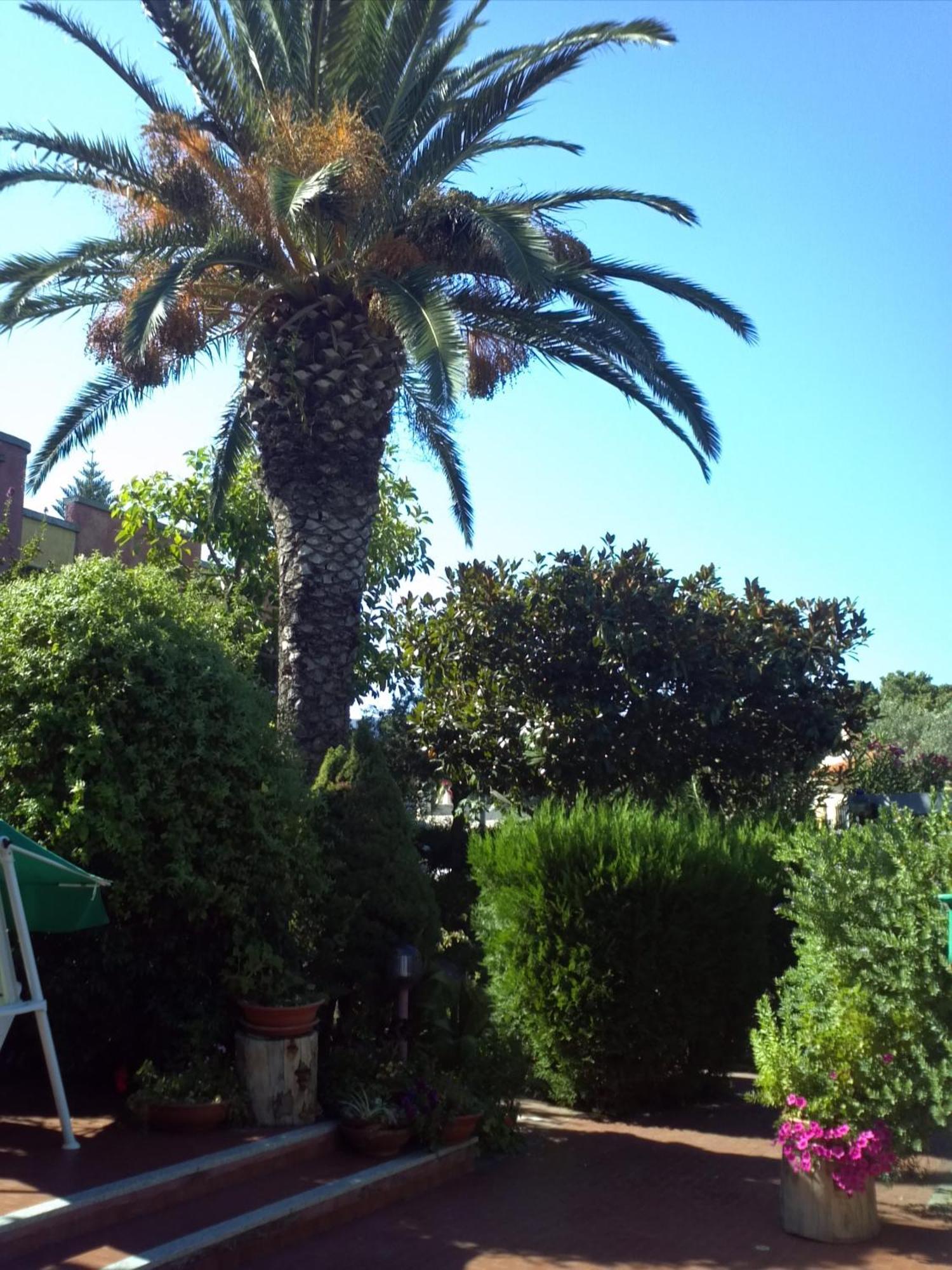 Hotel Abbaruja Olbia Exterior foto